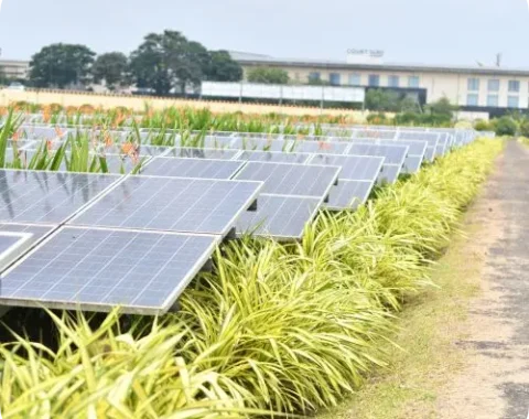 Solar Engineering Consultancy in India